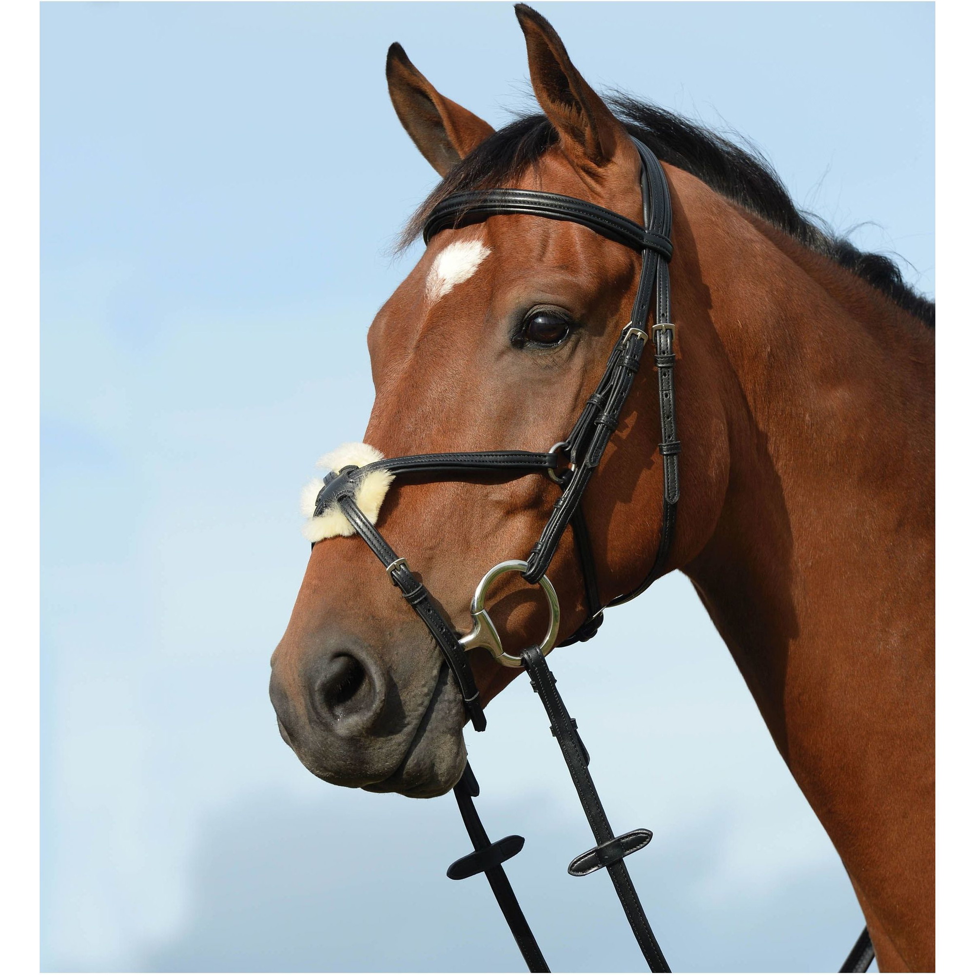 Collegiate Syntovia+ Padded Raised Figure 8 Bridle 10031020 - Brown
